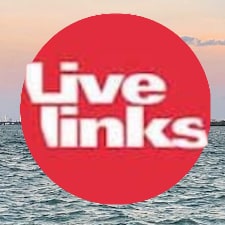 Livelinks logotype.